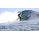 Line Up Surf- Beach Fal'e Accommodation - Maninoa Surf Camp, Samoa