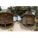 Line Up Surf- Beach Fal'e Accommodation - Maninoa Surf Camp, Samoa